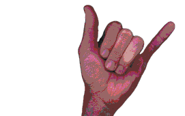 hang loose!!!